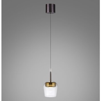 Paul Neuhaus Q-Serie Q-Kon Hanglamp LED Bruin, 1-licht, Afstandsbediening Paul Neuhaus Q-Serie Q-Kon Hanglamp LED Bruin, 1-licht, Afstandsbediening