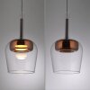Paul Neuhaus Verlichting Q-Kon Hanglamp LED Bruin, 1-licht, Afstandsbediening