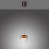 Paul Neuhaus Verlichting Q-Kon Hanglamp LED Bruin, 1-licht, Afstandsbediening