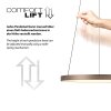 Paul Neuhaus Verlichting Hoop Hanglamp LED Bruin, 1-licht