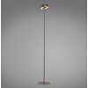 Paul Neuhaus Q-Serie Q-Rotate Staande lamp LED Bruin, 1-licht, Afstandsbediening Paul Neuhaus Q-Serie Q-Rotate Staande lamp LED Bruin, 1-licht, Afstandsbediening