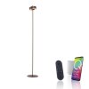 Paul Neuhaus Q-Serie Q-Rotate Staande lamp LED Bruin, 1-licht, Afstandsbediening Paul Neuhaus Q-Serie Q-Rotate Staande lamp LED Bruin, 1-licht, Afstandsbediening