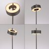 Paul Neuhaus Q-Serie Q-Rotate Staande lamp LED Bruin, 1-licht, Afstandsbediening Paul Neuhaus Q-Serie Q-Rotate Staande lamp LED Bruin, 1-licht, Afstandsbediening
