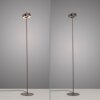 Paul Neuhaus Q-Serie Q-Rotate Staande lamp LED Bruin, 1-licht, Afstandsbediening Paul Neuhaus Q-Serie Q-Rotate Staande lamp LED Bruin, 1-licht, Afstandsbediening