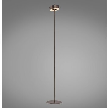 Paul Neuhaus Q-Serie Q-Rotate Staande lamp LED Bruin, 1-licht, Afstandsbediening Paul Neuhaus Q-Serie Q-Rotate Staande lamp LED Bruin, 1-licht, Afstandsbediening