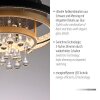 Paul Neuhaus Verlichting Rotazo Plafondlamp LED Goud, Zwart, 1-licht Paul Neuhaus Verlichting Rotazo Plafondlamp LED Goud, Zwart, 1-licht