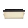 Paul Neuhaus Q-Serie Q-Magong Plafondlamp LED Zwart, 1-licht, Afstandsbediening Paul Neuhaus Q-Serie Q-Magong Plafondlamp LED Zwart, 1-licht, Afstandsbediening