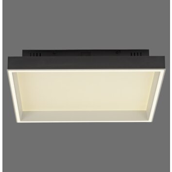 Paul Neuhaus Q-Serie Q-Magong Plafondlamp LED Zwart, 1-licht, Afstandsbediening Paul Neuhaus Q-Serie Q-Magong Plafondlamp LED Zwart, 1-licht, Afstandsbediening