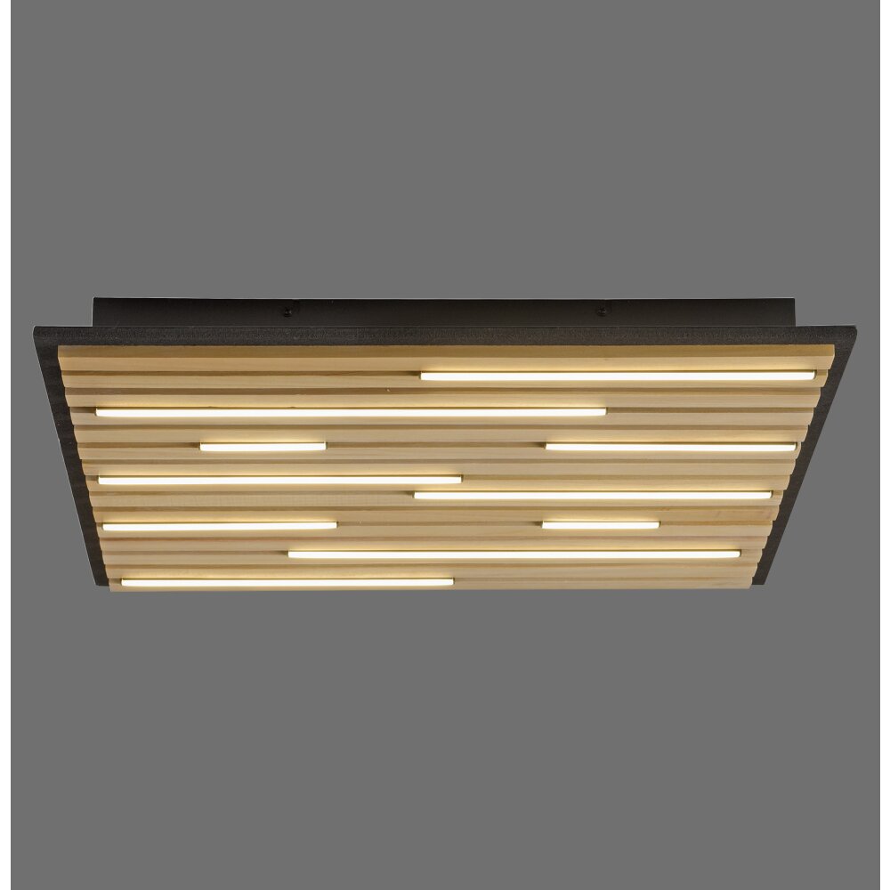 Paul Neuhaus Q-Serie Q-Akustik Wand- en plafondlamp LED Bruin, Zwart, 1-licht, Afstandsbediening main product photo