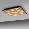 Paul Neuhaus Q-Serie Q-Akustik Wand- en plafondlamp LED Bruin, Zwart, 1-licht, Afstandsbediening