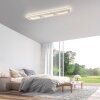 Paul Neuhaus Q-Serie Q-Kalina Plafondlamp LED Wit, 1-licht, Afstandsbediening