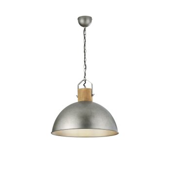 Trio DELHI Hanglamp Nikkel mat, 1-licht