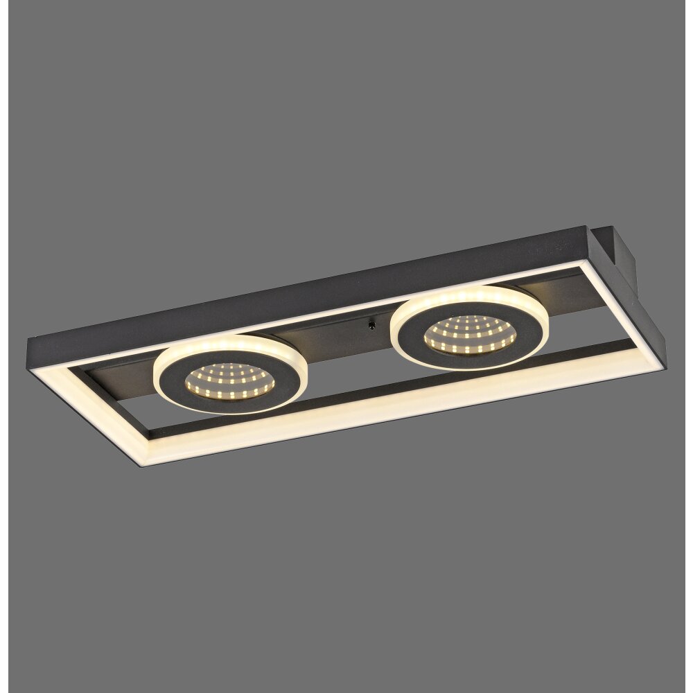 Paul Neuhaus Verlichting Traforo Plafondlamp LED Zwart, 1-licht, Afstandsbediening main product photo