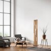 Paul Neuhaus Q-Serie Q-Akustik Staande lamp LED Bruin, Zwart, 1-licht, Afstandsbediening