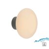 Paul Neuhaus Verlichting Olaf Wand- en plafondlamp LED Grijs, 1-licht Paul Neuhaus Verlichting Olaf Wand- en plafondlamp LED Grijs, 1-licht