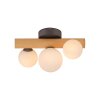 Paul Neuhaus Verlichting Popsicle Wand- en plafondlamp LED Bruin, Zwart, 3-lichts