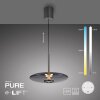 Paul Neuhaus Verlichting E-Vitrum Hanglamp LED Grijs, 2-lichts, Afstandsbediening
