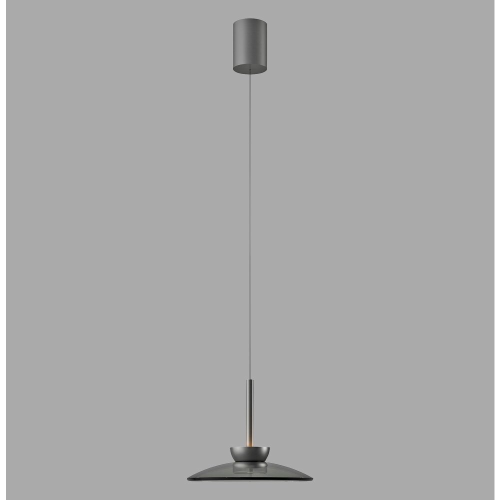 Paul Neuhaus Verlichting Moon Hanglamp LED Grijs, 2-lichts main product photo