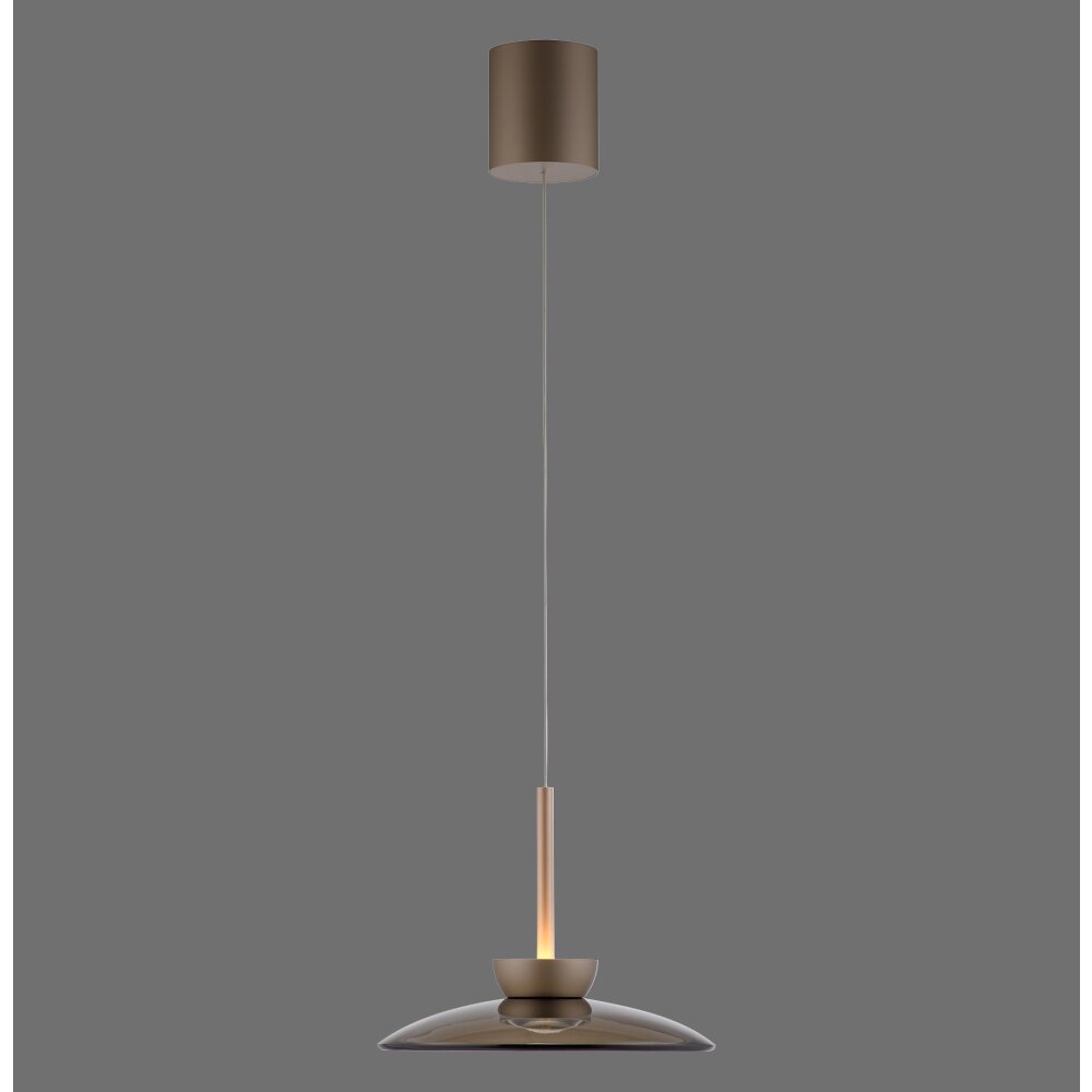 Paul Neuhaus Verlichting Moon Hanglamp LED Brons, 2-lichts main product photo