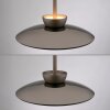 Paul Neuhaus Verlichting Moon Hanglamp LED Brons, 2-lichts