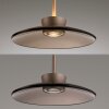 Paul Neuhaus Verlichting Moon Hanglamp LED Brons, 2-lichts