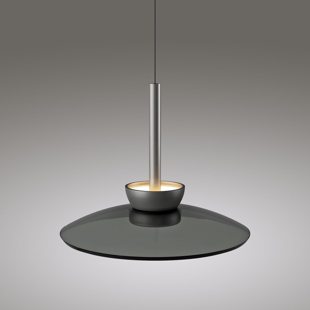 Paul Neuhaus Verlichting Moon Hanglamp LED Grijs, 6-lichts