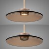 Paul Neuhaus Verlichting E-Moon Hanglamp LED Brons, 2-lichts, Afstandsbediening