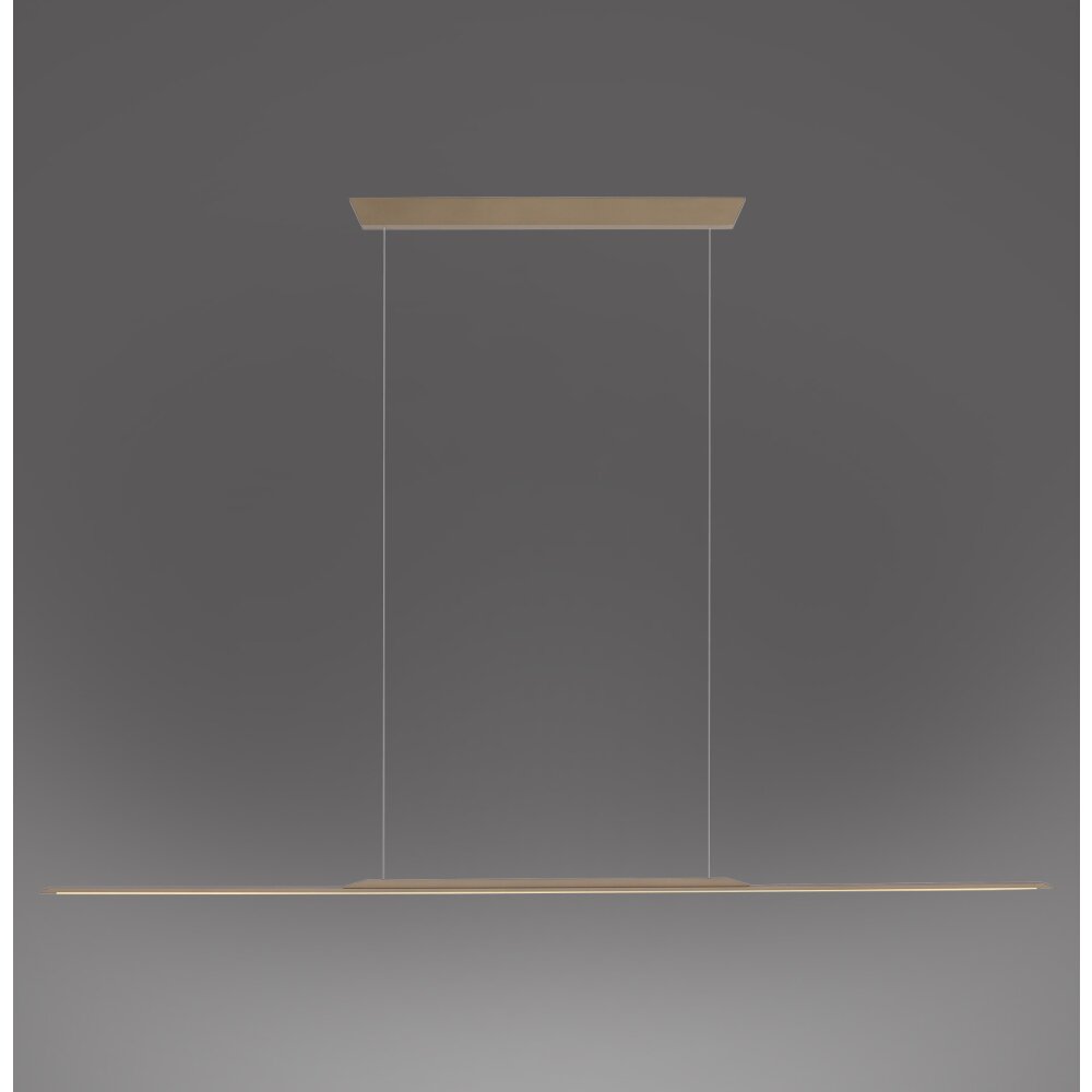 Paul Neuhaus Verlichting Surface Hanglamp LED Brons, 1-licht main product photo