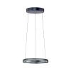 Paul Neuhaus Verlichting E-Loop Hanglamp LED Grijs, 2-lichts, Afstandsbediening