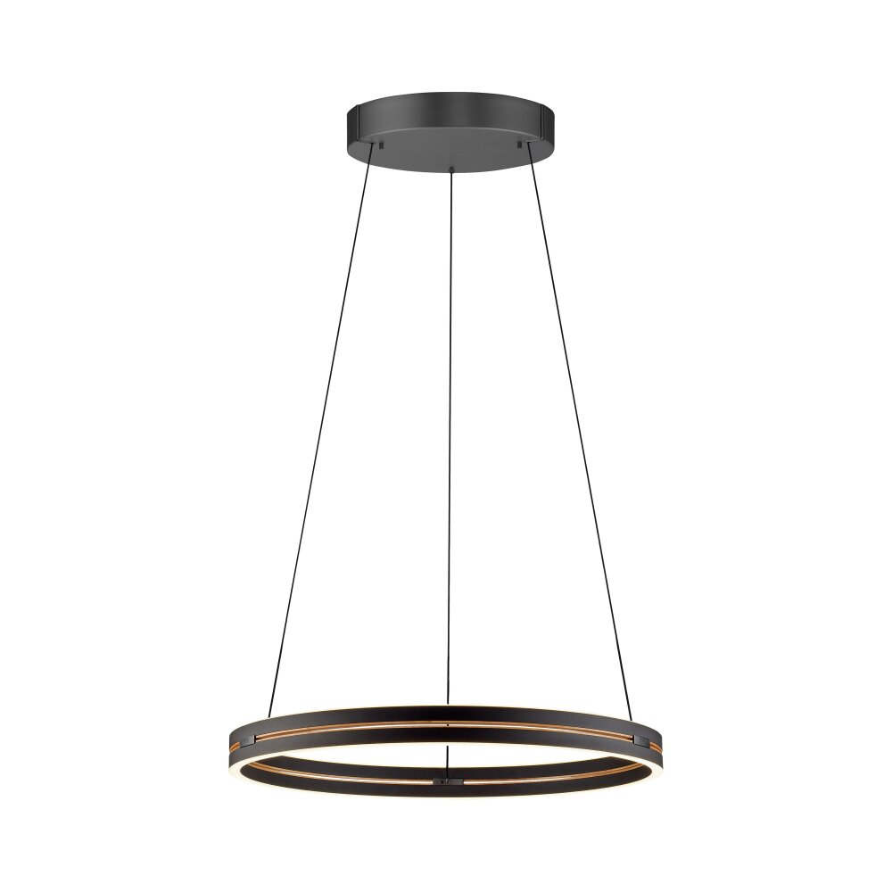 Paul Neuhaus Verlichting E-Loop Hanglamp LED Zwart, 2-lichts, Afstandsbediening