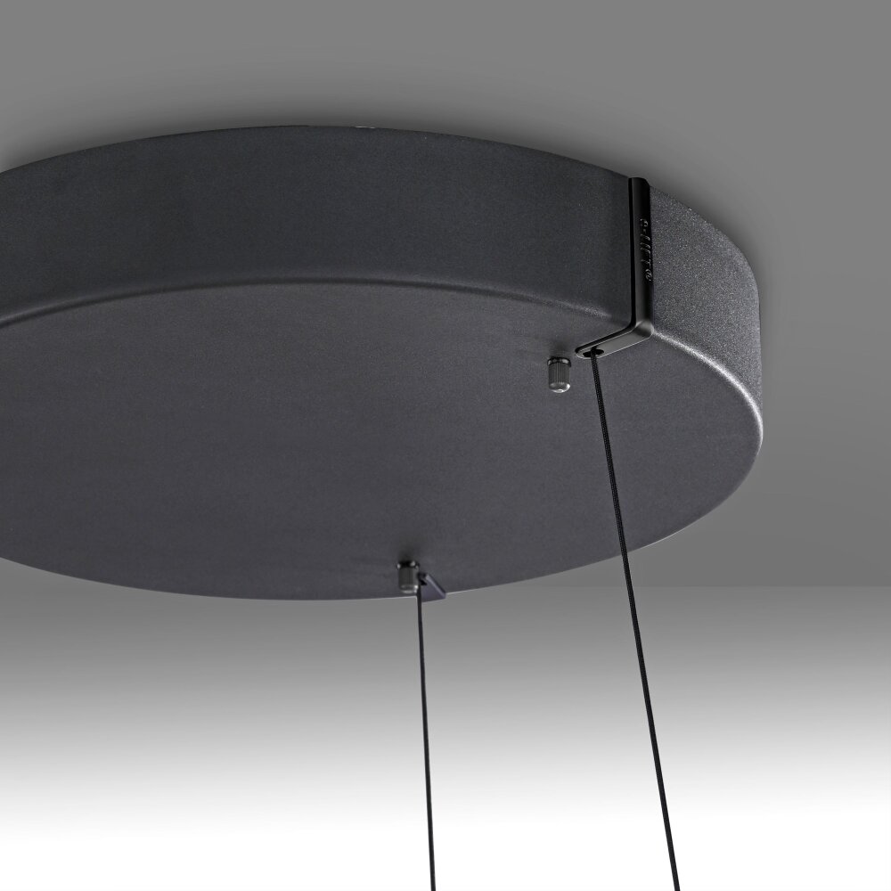 Paul Neuhaus Verlichting E-Loop Hanglamp LED Zwart, 2-lichts, Afstandsbediening