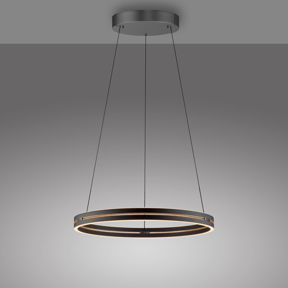 Paul Neuhaus Verlichting E-Loop Hanglamp LED Zwart, 2-lichts, Afstandsbediening
