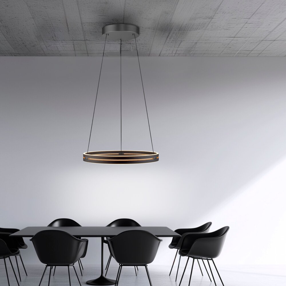 Paul Neuhaus Verlichting E-Loop Hanglamp LED Zwart, 2-lichts, Afstandsbediening
