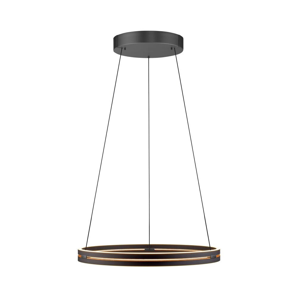 Paul Neuhaus Verlichting E-Loop Hanglamp LED Zwart, 2-lichts, Afstandsbediening