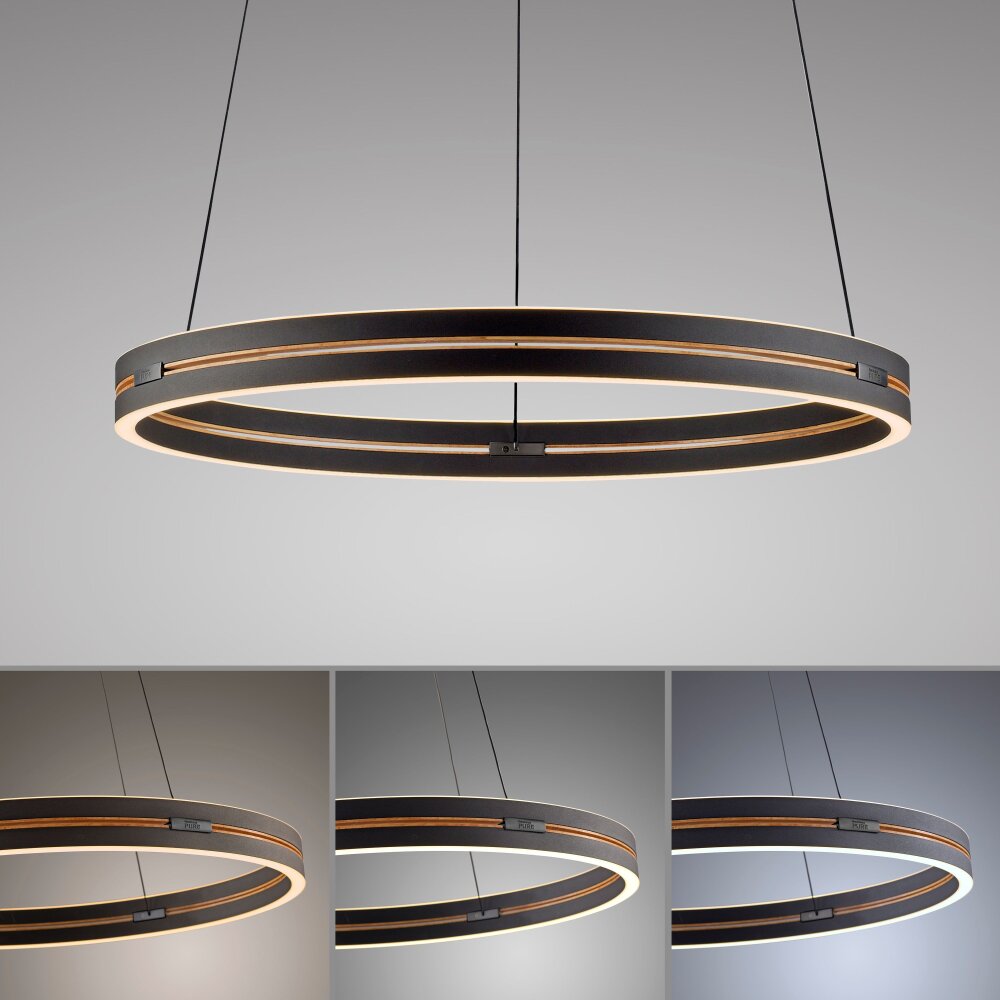 Paul Neuhaus Verlichting E-Loop Hanglamp LED Zwart, 2-lichts, Afstandsbediening