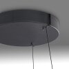 Paul Neuhaus Verlichting E-Loop Hanglamp LED Zwart, 2-lichts, Afstandsbediening