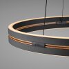 Paul Neuhaus Verlichting E-Loop Hanglamp LED Zwart, 2-lichts, Afstandsbediening