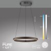 Paul Neuhaus Verlichting E-Loop Hanglamp LED Zwart, 2-lichts, Afstandsbediening