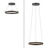 Paul Neuhaus Verlichting E-Loop Hanglamp LED Zwart, 2-lichts, Afstandsbediening