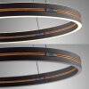 Paul Neuhaus Verlichting E-Loop Hanglamp LED Zwart, 2-lichts, Afstandsbediening