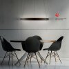 Paul Neuhaus Verlichting E-Loop Hanglamp LED Zwart, 2-lichts, Afstandsbediening