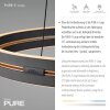 Paul Neuhaus Verlichting E-Loop Hanglamp LED Zwart, 2-lichts, Afstandsbediening
