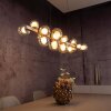 Paul Neuhaus Verlichting E-Popup Hanglamp LED Brons, 18-lichts, Afstandsbediening
