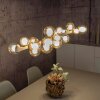 Paul Neuhaus Verlichting E-Popup Hanglamp LED Brons, 18-lichts, Afstandsbediening
