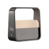 Paul Neuhaus Verlichting Go Tafellamp LED Grijs, 1-licht
