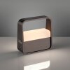 Paul Neuhaus Verlichting Go Tafellamp LED Bruin, 1-licht