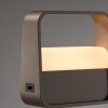 Paul Neuhaus Verlichting Go Tafellamp LED Brons, 1-licht