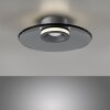 Paul Neuhaus Verlichting Moon Plafondlamp LED Grijs, 2-lichts
