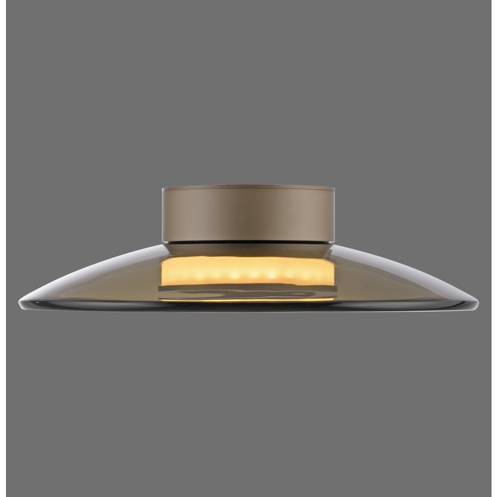 Paul Neuhaus Verlichting Moon Plafondlamp LED Brons, 2-lichts main product photo