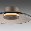 Paul Neuhaus Verlichting Moon Plafondlamp LED Brons, 2-lichts